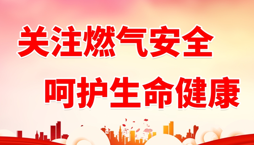 山东省人民政府安全生产委员会关于印发  《山东省城镇燃气安全专项整治实施方案》的通知