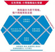 红色网格 基层党建引领社会治理