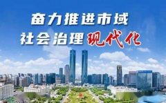 加快推進市域社會治理現代化